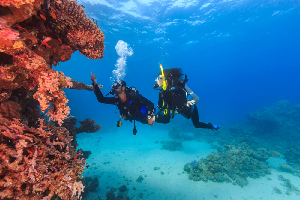 Old Cement Barge - Scuba diving in Abu Dhabi