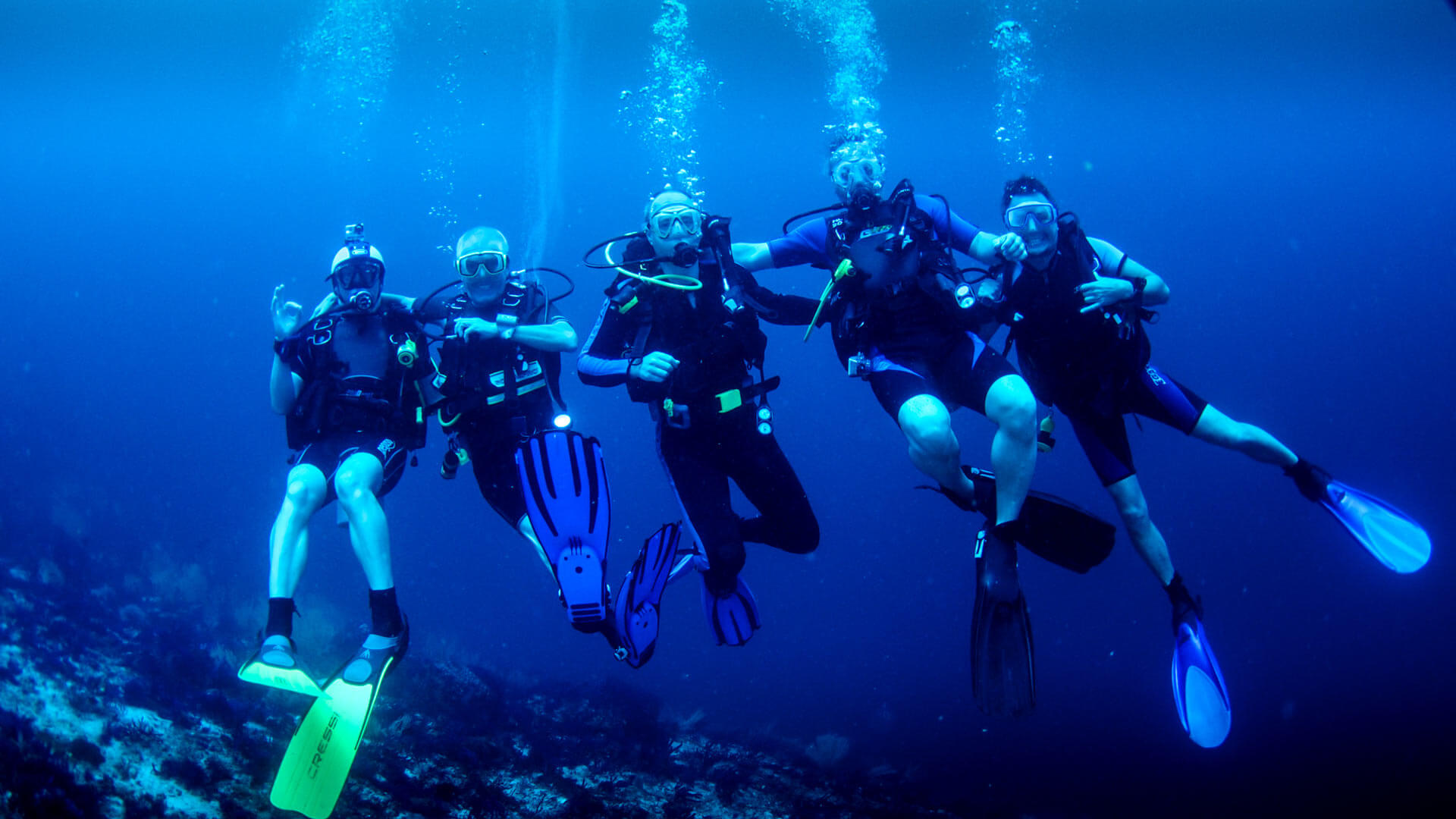 Scuba Diving Institutes and Organisers