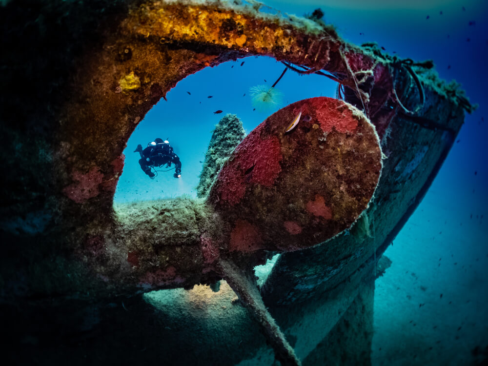 Zainab Wreck - Scuba diving in Abu Dhabi