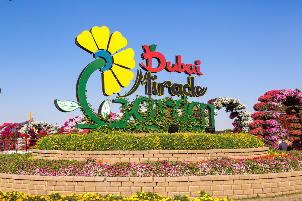 Dubai Miracle Garden