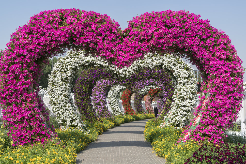 Heart Tunnel