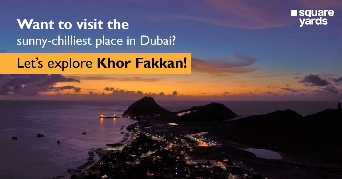Visit Khor Fakkan | 12 things to Experience and Explore