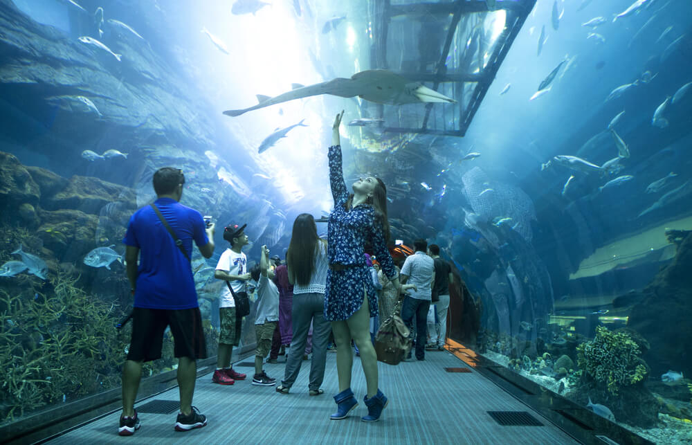 Aquarium and Underwater Zoo