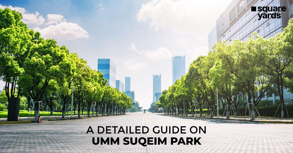 Enjoy The Beach Breeze at Umm Suqeim Park