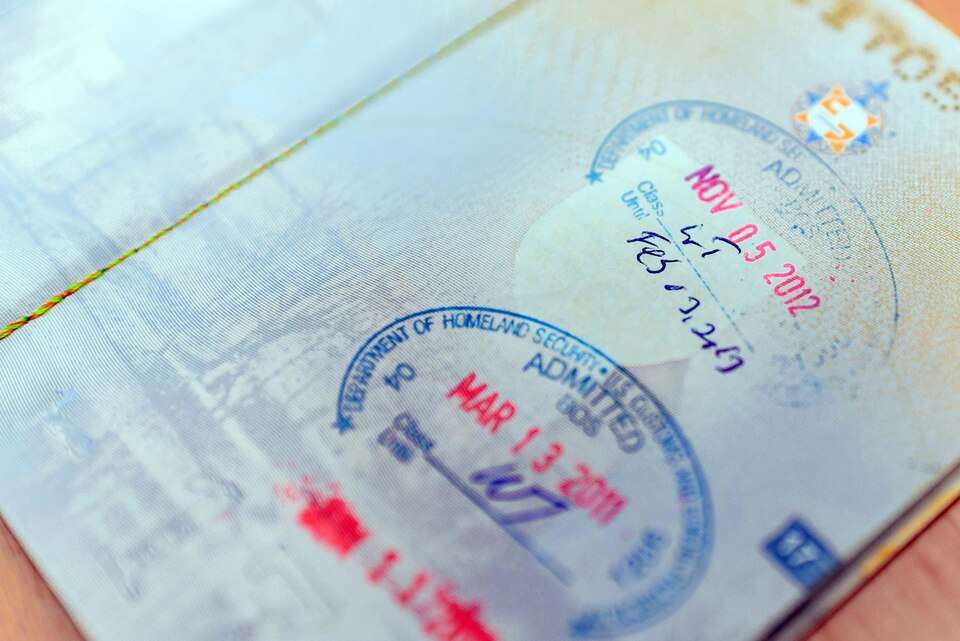 UAE Blue Visa Fees & Cost